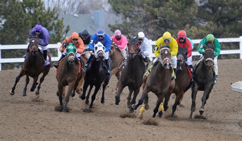 fonner park sportsbook review|Nebraska Horse Racing 2024 .
